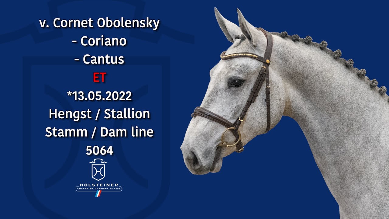 Holsteiner Körlot 2024 | Nr. 23 Cornet Obolensky - Coriano - Cantus