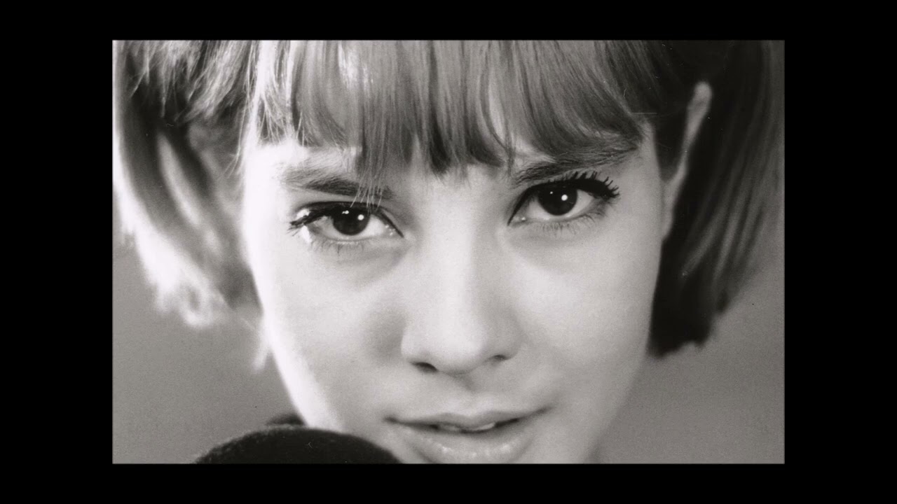 Sylvie Vartan