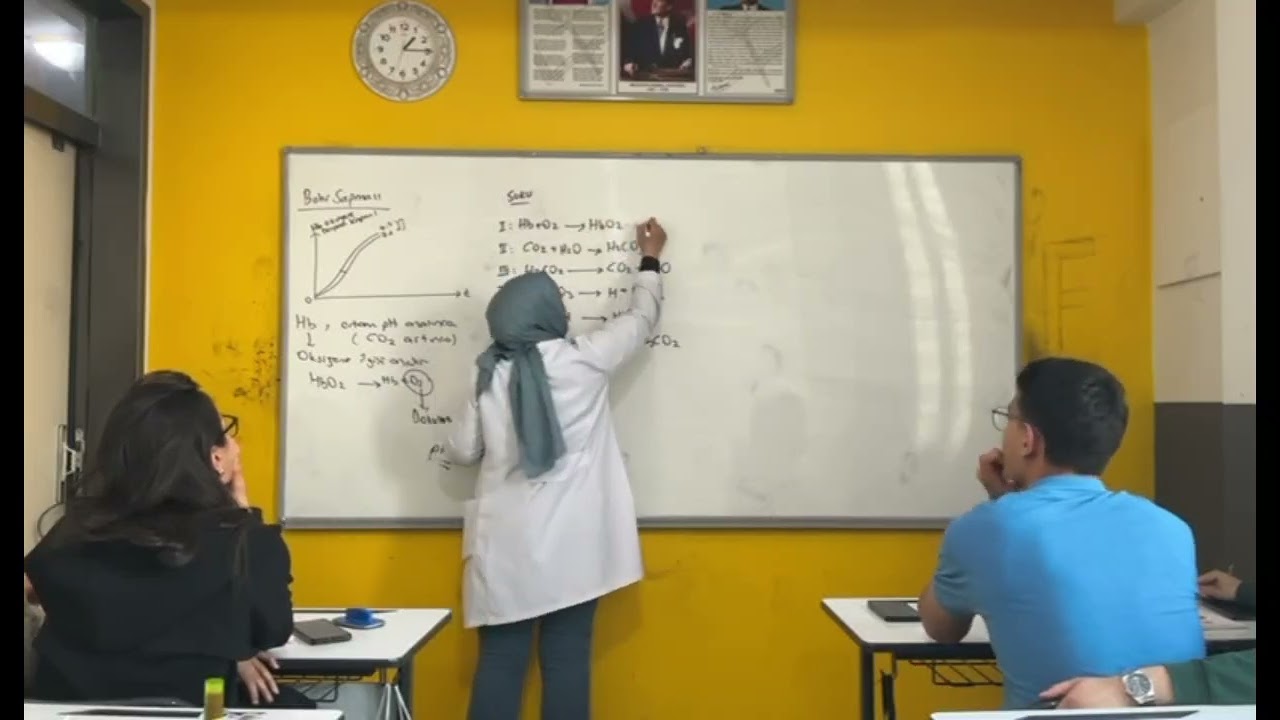 Oksijen ve karbondioksit taşınma reaksiyonları...