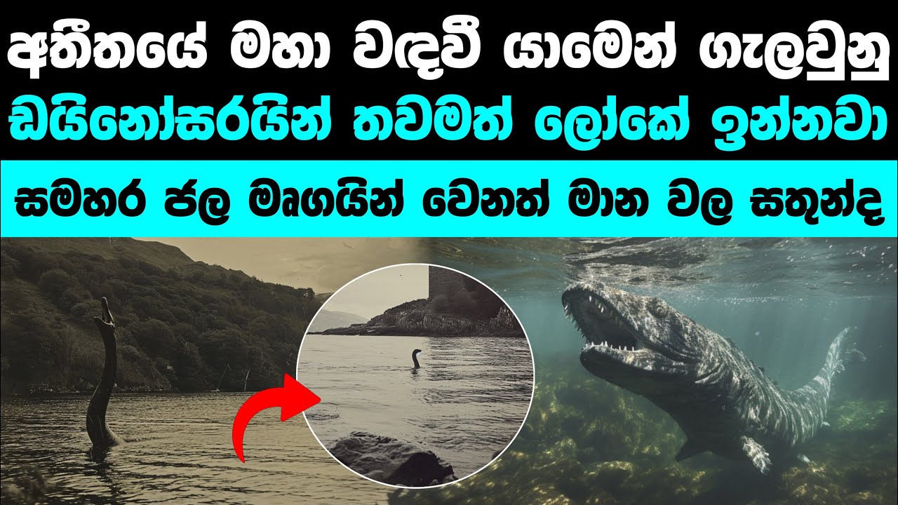 අදටත් ජලයේ ජීවත්වන දැවැන්ත ඩයිනෝසරයින් | Mysterious Dinosaur like creatures