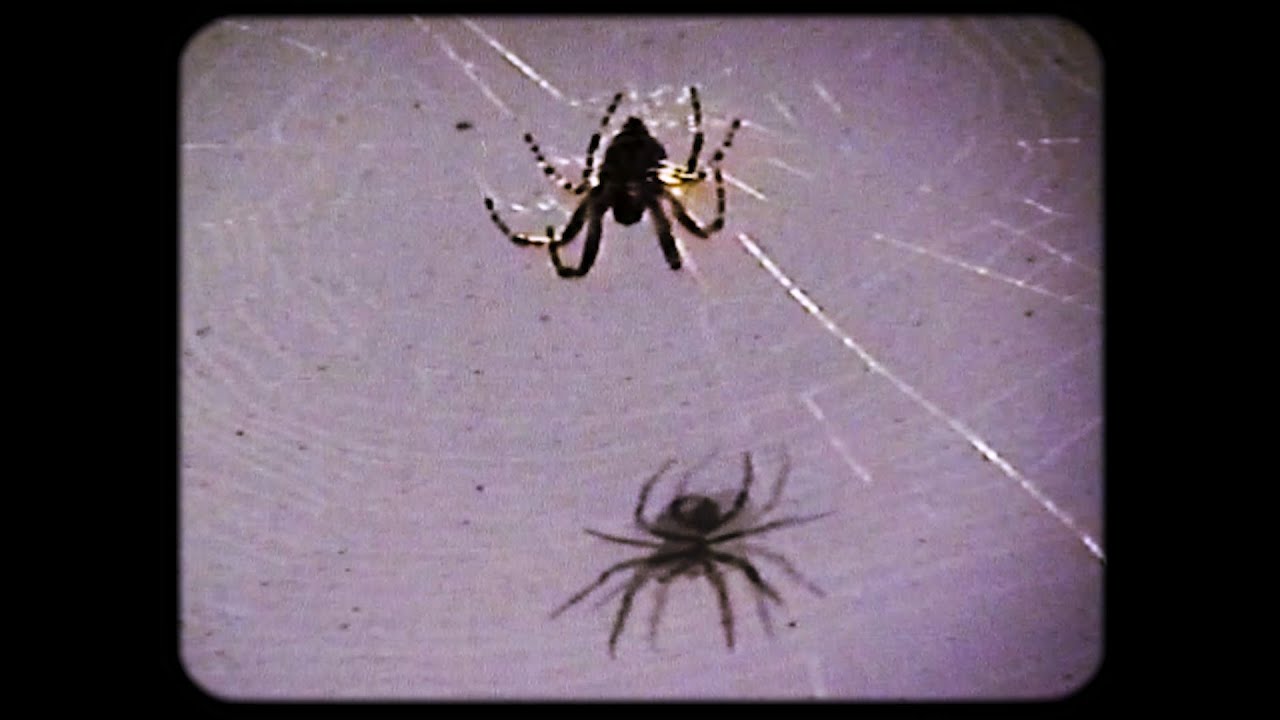 ARACHNID