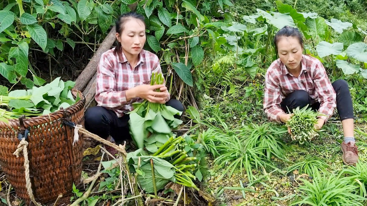 Harvesting Fresh Vegetables from the Garden & Traditional Tuber Grinding for a Rustic Country Meal