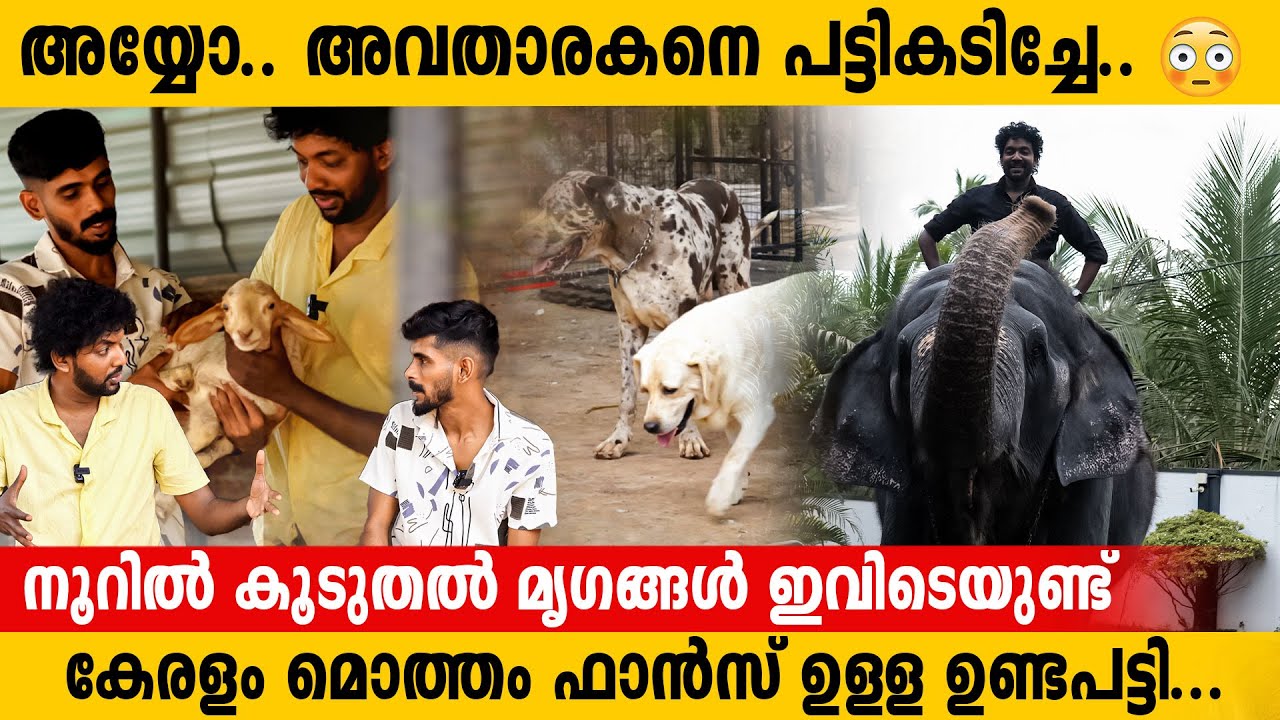 ഇവളുടെ കയ്യിൽ നിന്ന് അബദ്ധം പറ്റിയാൽ എനിക്ക് സന്തോഷമേ ഉള്ളു ❤️