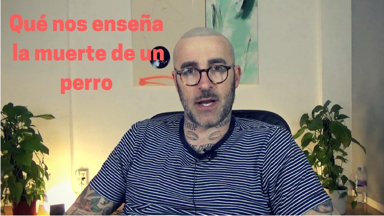 La MUERTE de un PERRO (claves PSICOLÓGICAS)
