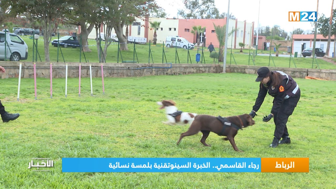 الرباط..  رجاء القاسمي.. الخبرة السينوتقنية بلمسة نسائية