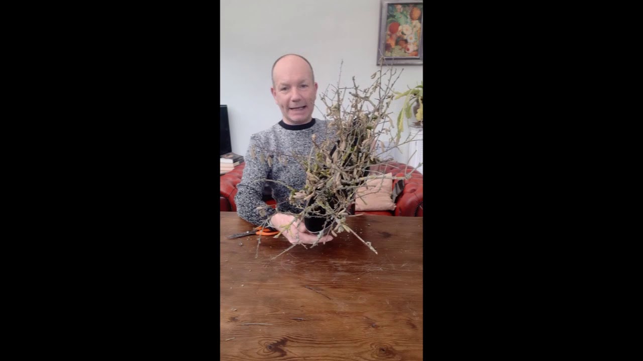 Jonathan Moseley creates a fabulous foraged design
