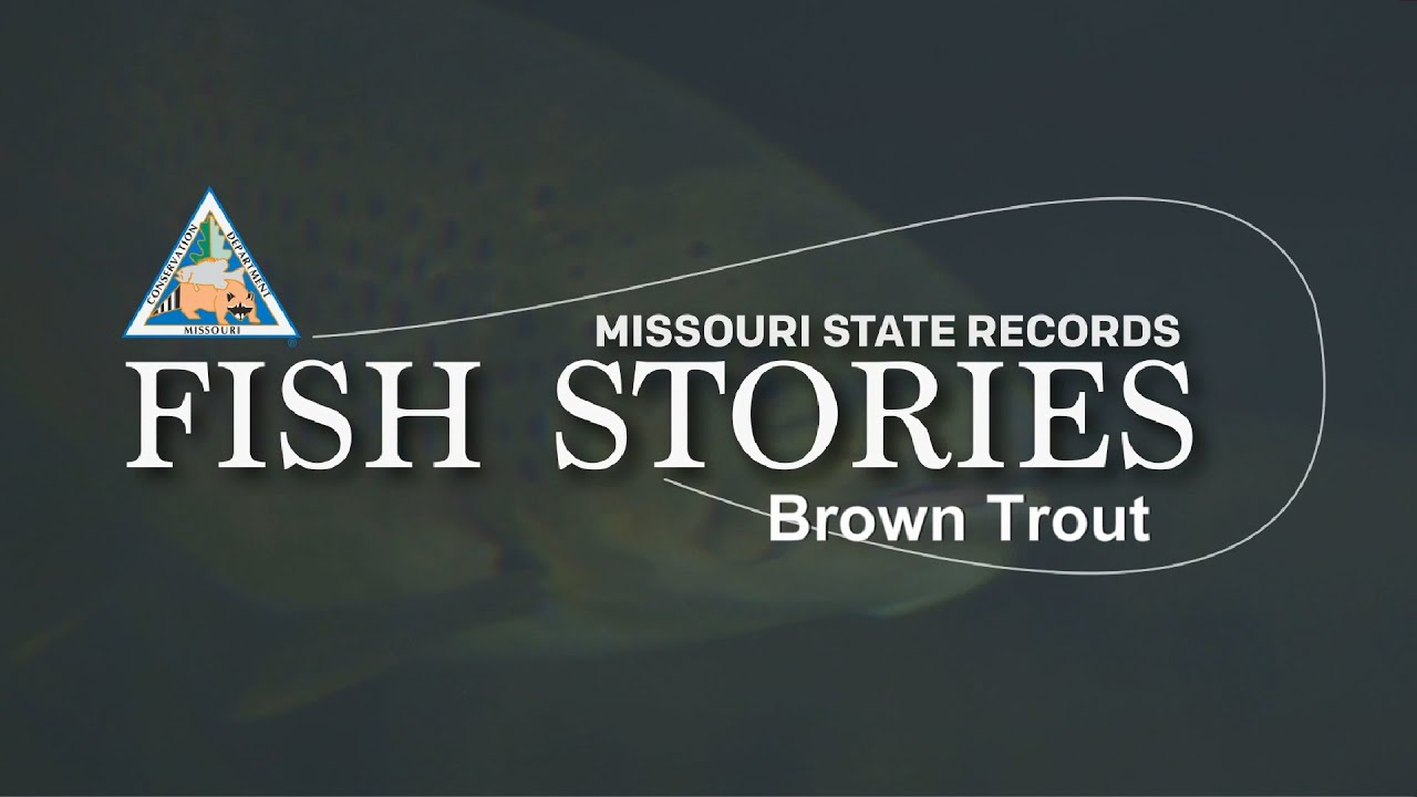 Missouri Record Fish Stories - Brown Trout (2019 Update)