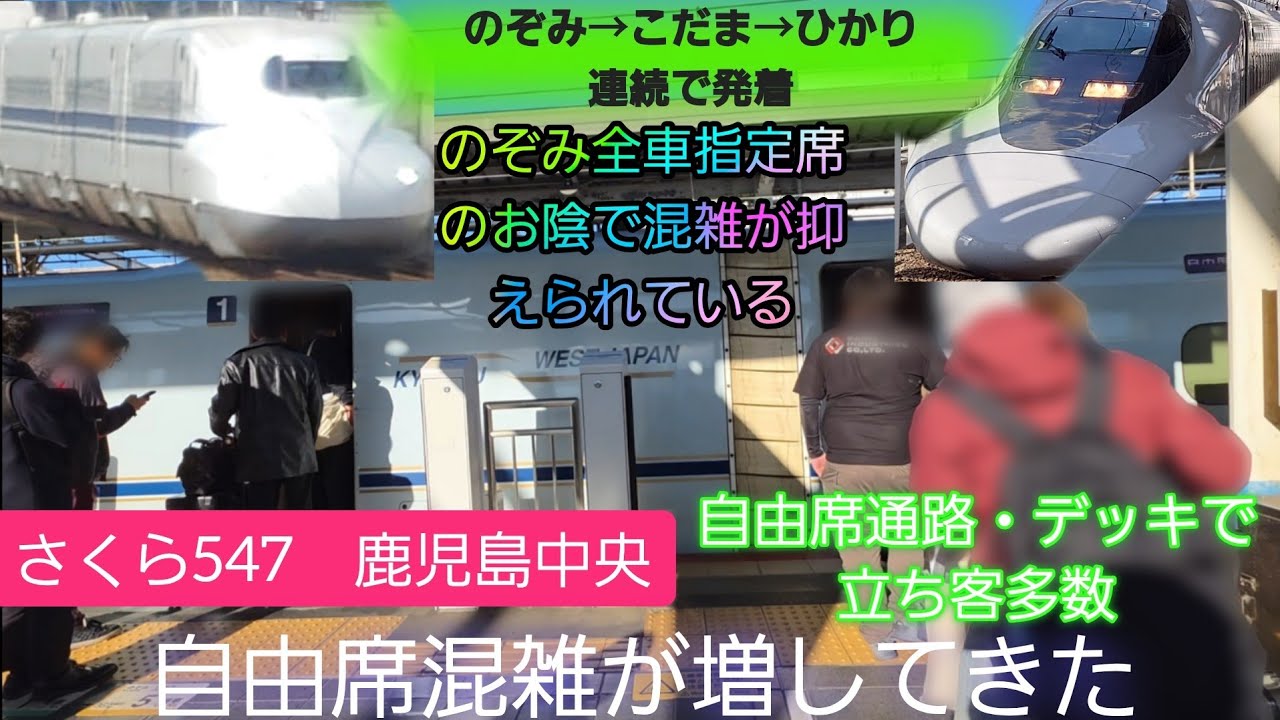 【2025年年末年始帰省ラッシュスタート・さくら自由席混雑率上昇‼️】さくら547号自由席混雑増し立ち客多数発生‼️全車指定席のぞみ5号→こだま843号→ひかり535号連続で発着していく