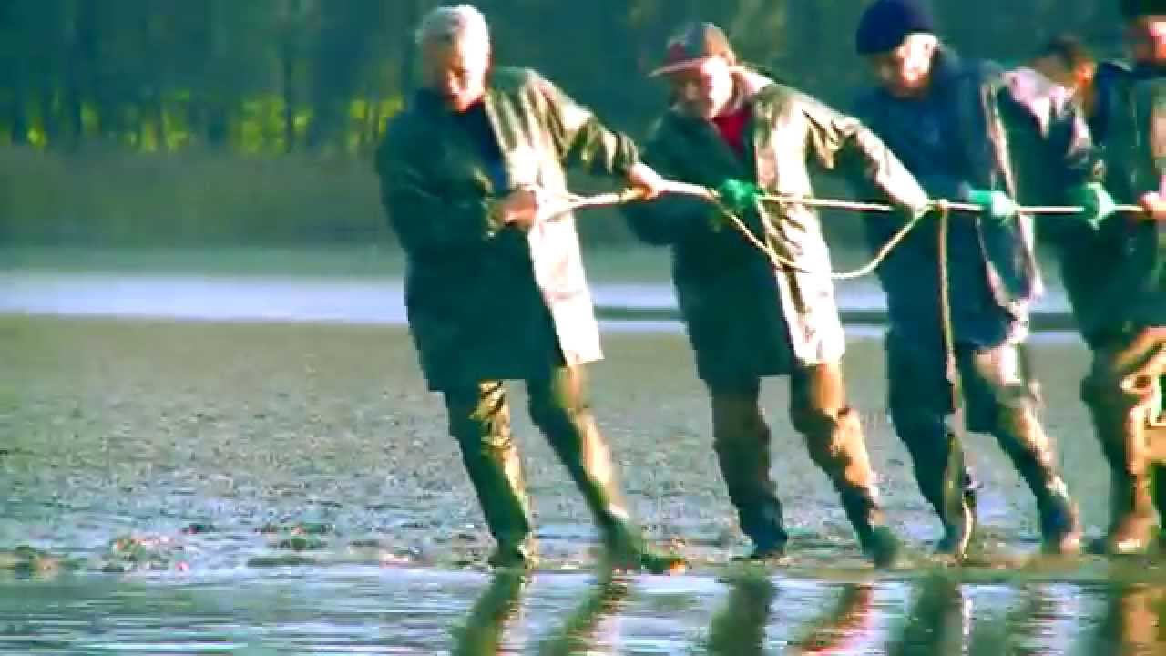 Bande-annonce: journ&eacute;e d&eacute;couverte du poisson de Dombes