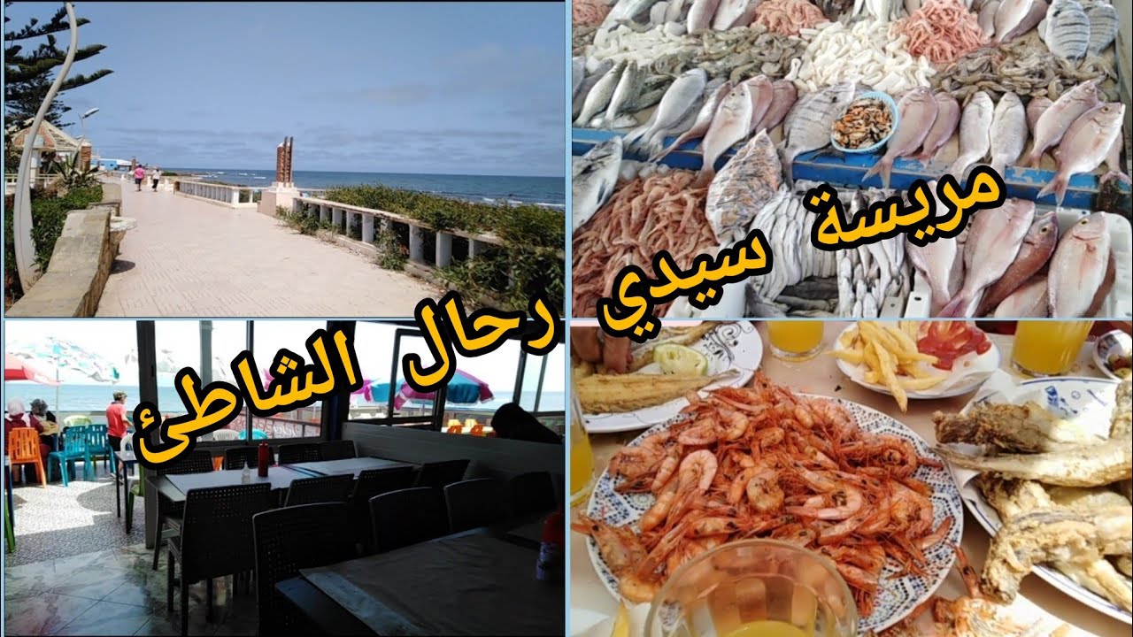 جولة في سيدي رحال الشاطئ 🏖️مريسة سيدي رحال 🦈أحسن بلاصة ممكن تاكلو فيها الحوت🦐