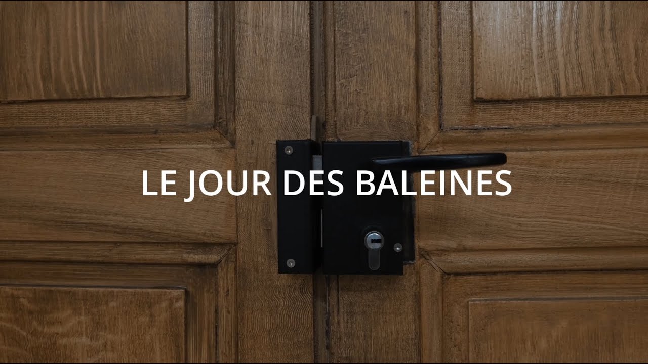LE JOUR DES BALEINES - Projet 4ème Collège Romé de L'Isle de GRAY