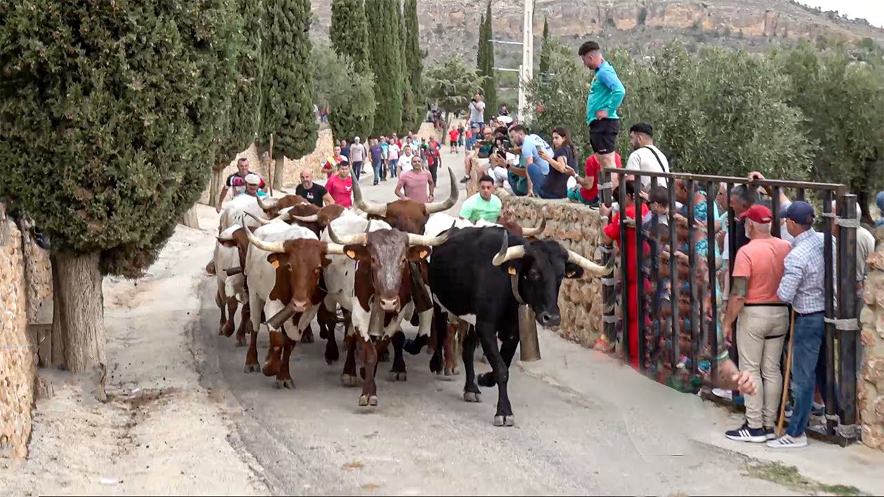 FEREZ ENCIERROS 2024