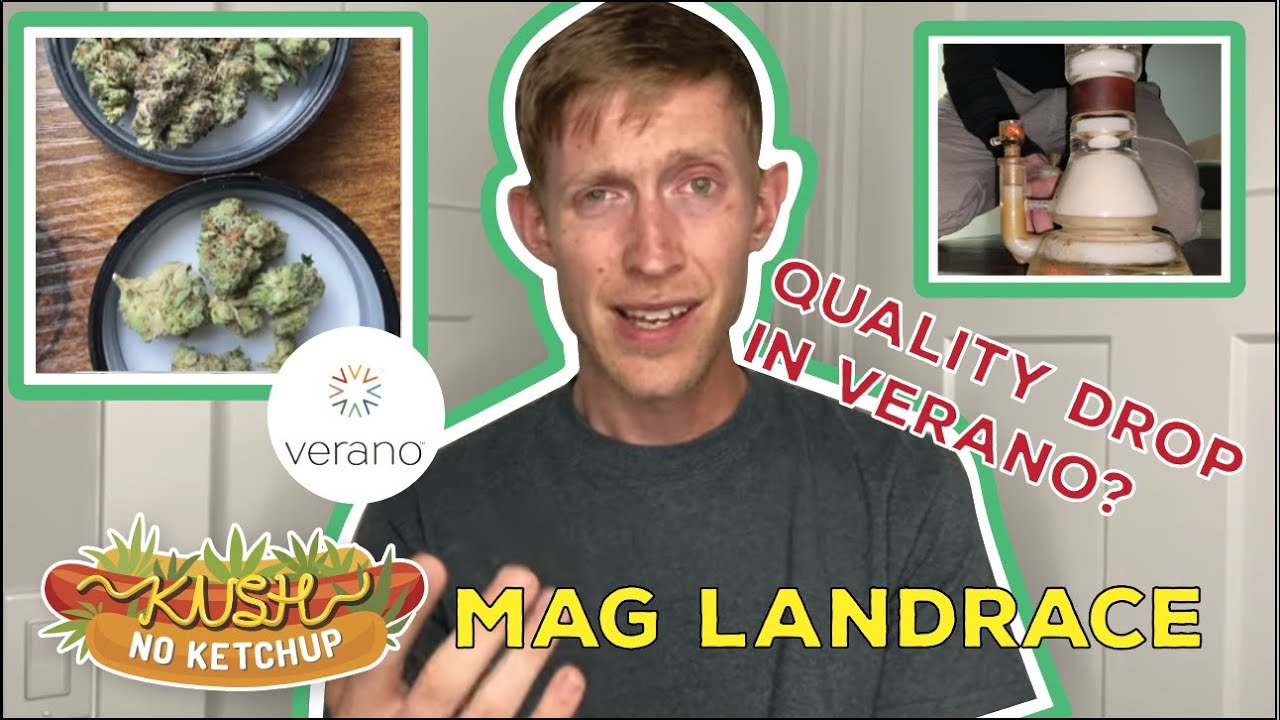 Verano Has A Serious Problem (Mag Landrace Review) | KUSH NO KETCHUP