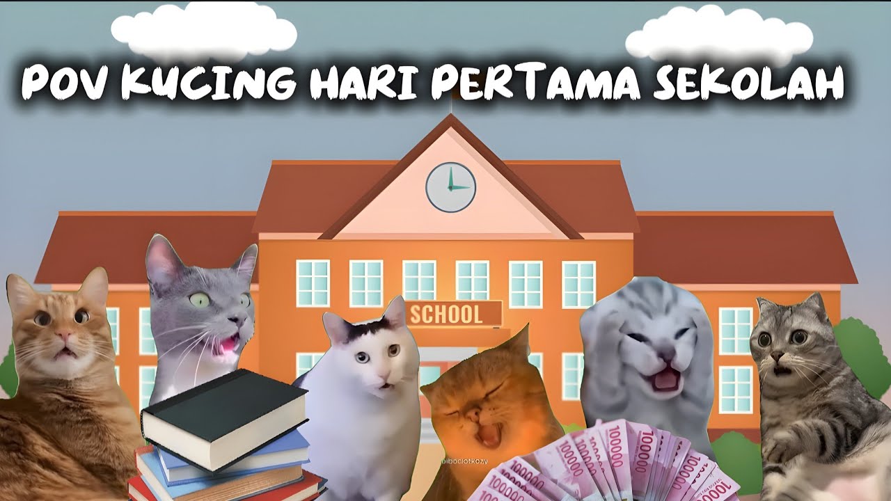 IPov Kucing Hari Pertama Sekolah | meme kucing lucu #pov #meme #kucing #cat