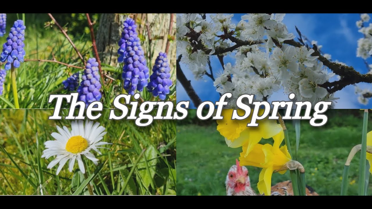 The Signs of Spring! 2024