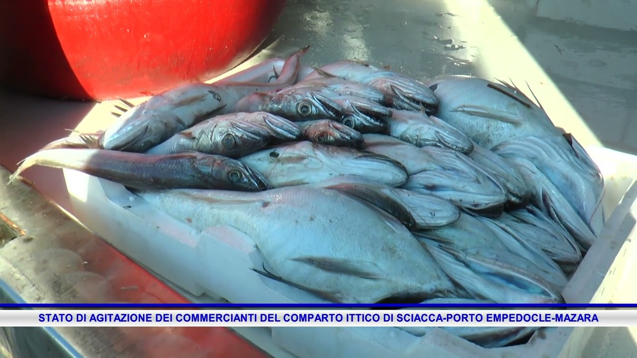 STATO DI AGITAZIONE DEI COMMERCIANTI DEL COMPARTO ITTICO DI SCIACCA PORTO EMPEDOCLE MAZARA