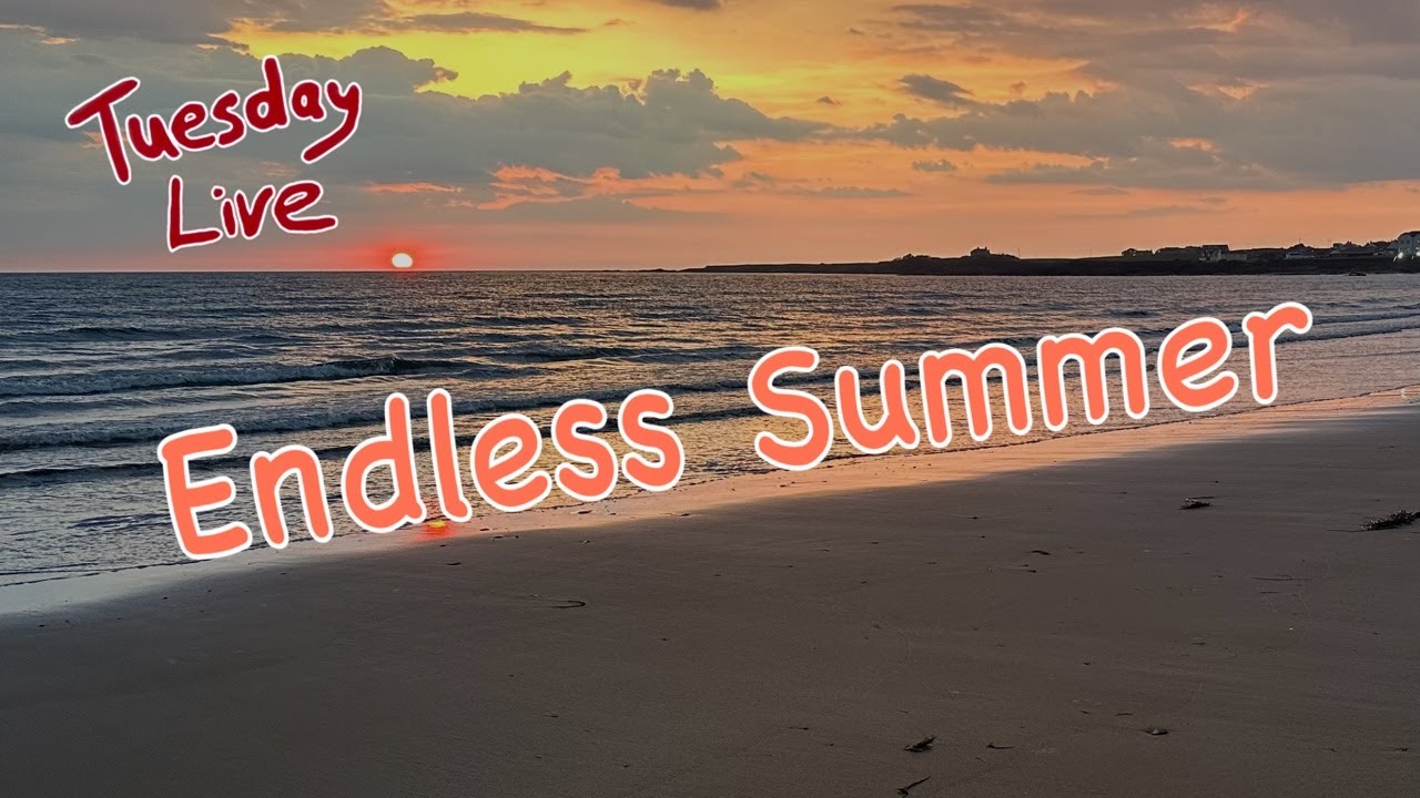 🌞 Tuesday Live Endless Summer 🌞