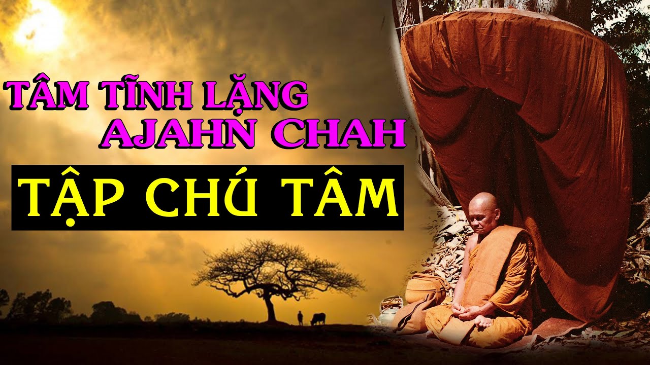 Vài bài viết của Bậc Giác Ngộ Thiền Sư Ajahn Chah -  Tập Chú Tâm/ Thiền Đạo