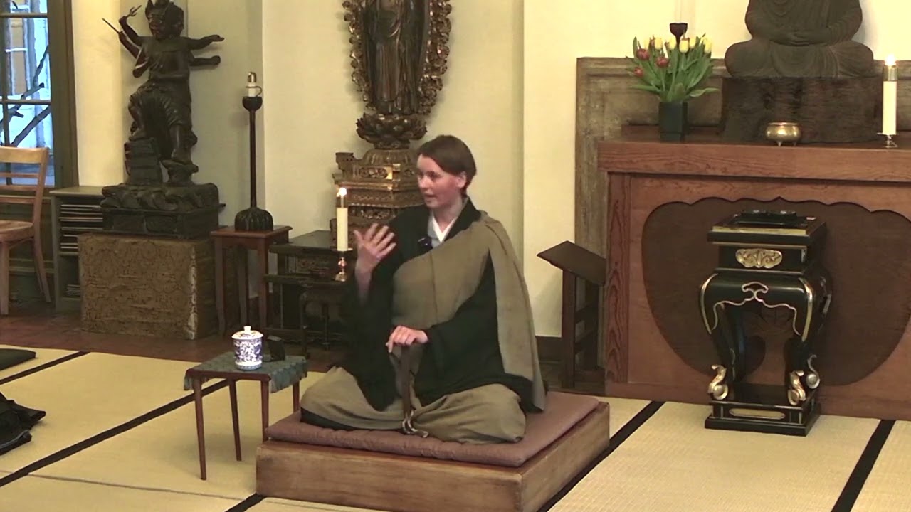How Views Shape the World — Tatsudo Nicole Baden — Dharma Talk at Beginner's Mind Temple