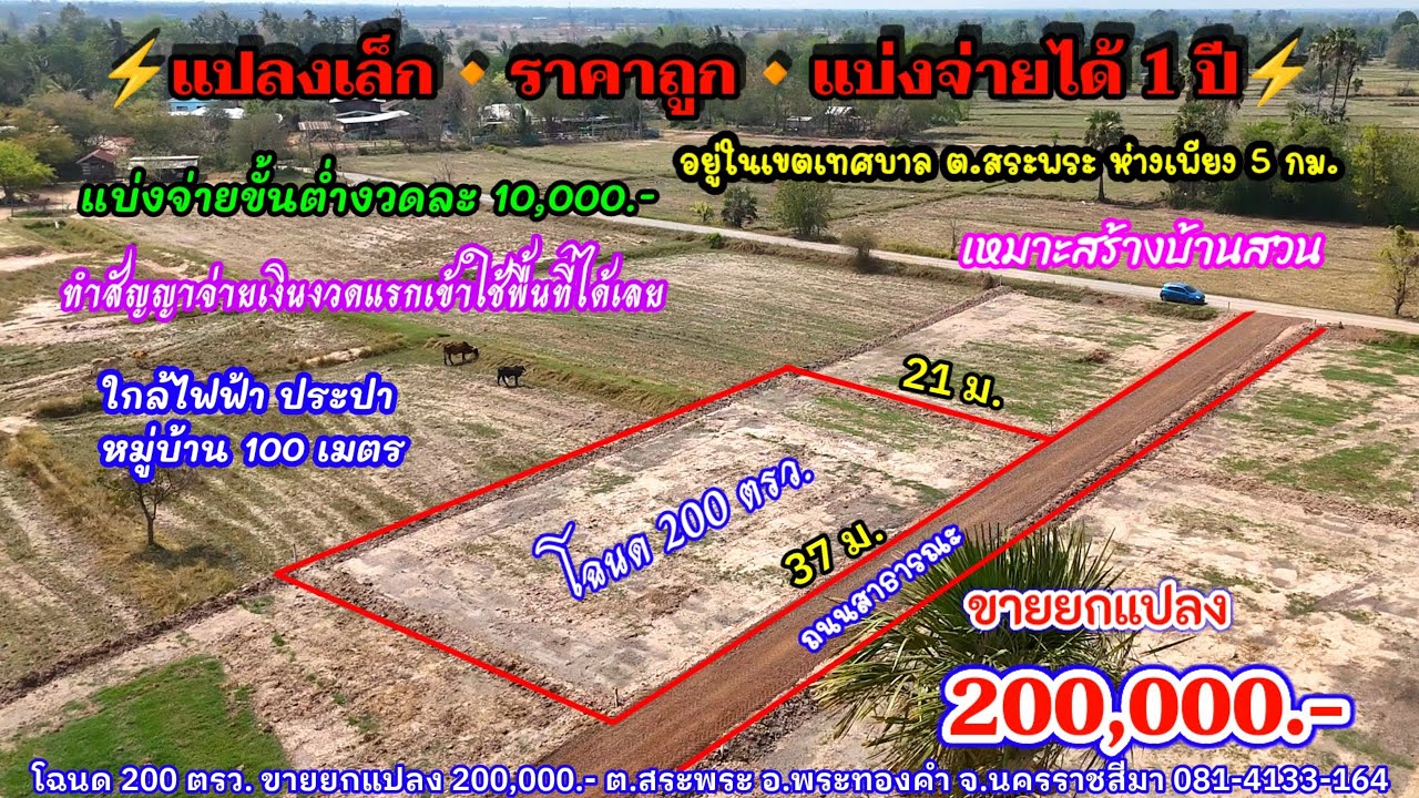Ep.2567 แปลงเล็ก ราคาถูก แบ่งจ่ายได้ 1 ปี ห่าง อ.พระทองคำเพียง 4 กม. โฉนด 200 ตรว. ราคา 200,000.-