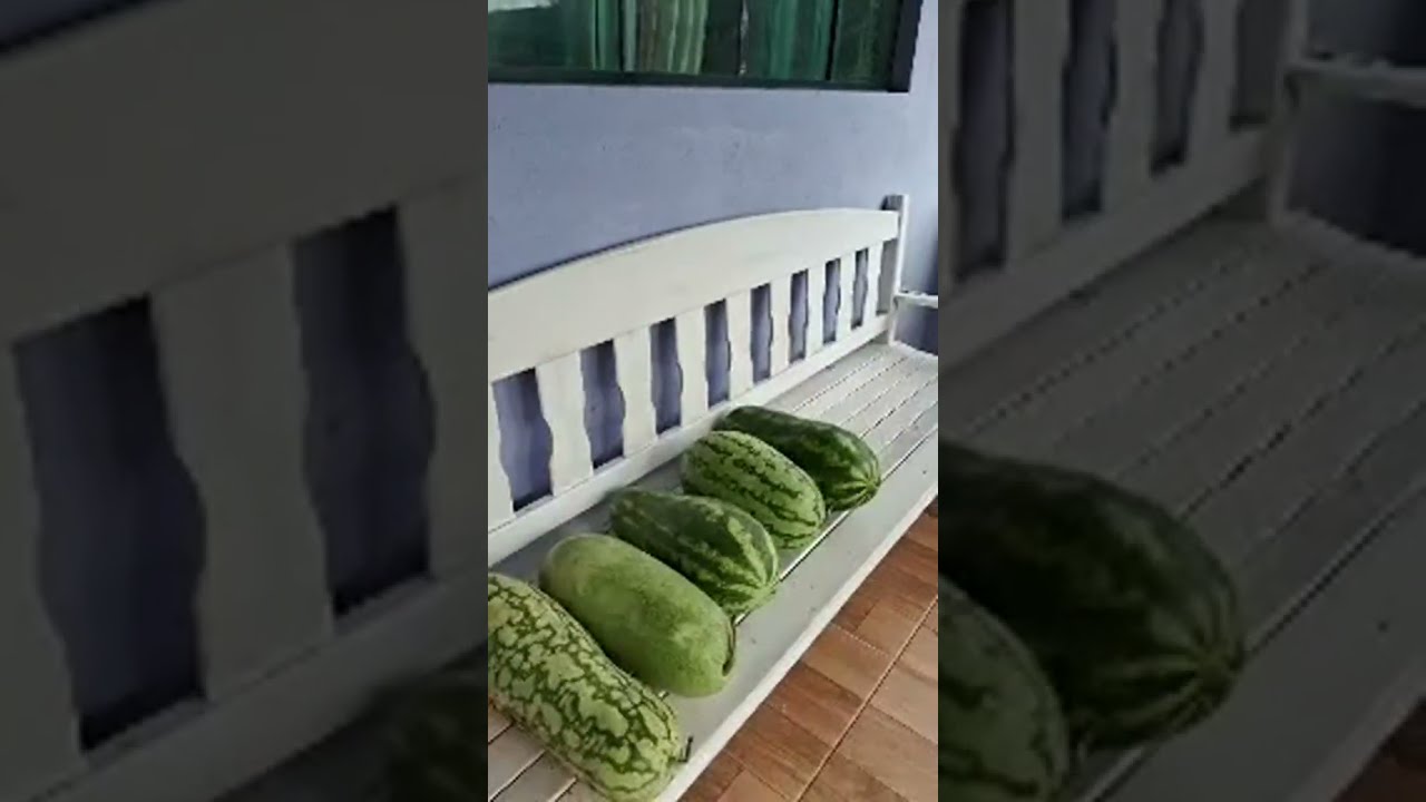 Encantos da Terra #Esse é o meu cantinho 