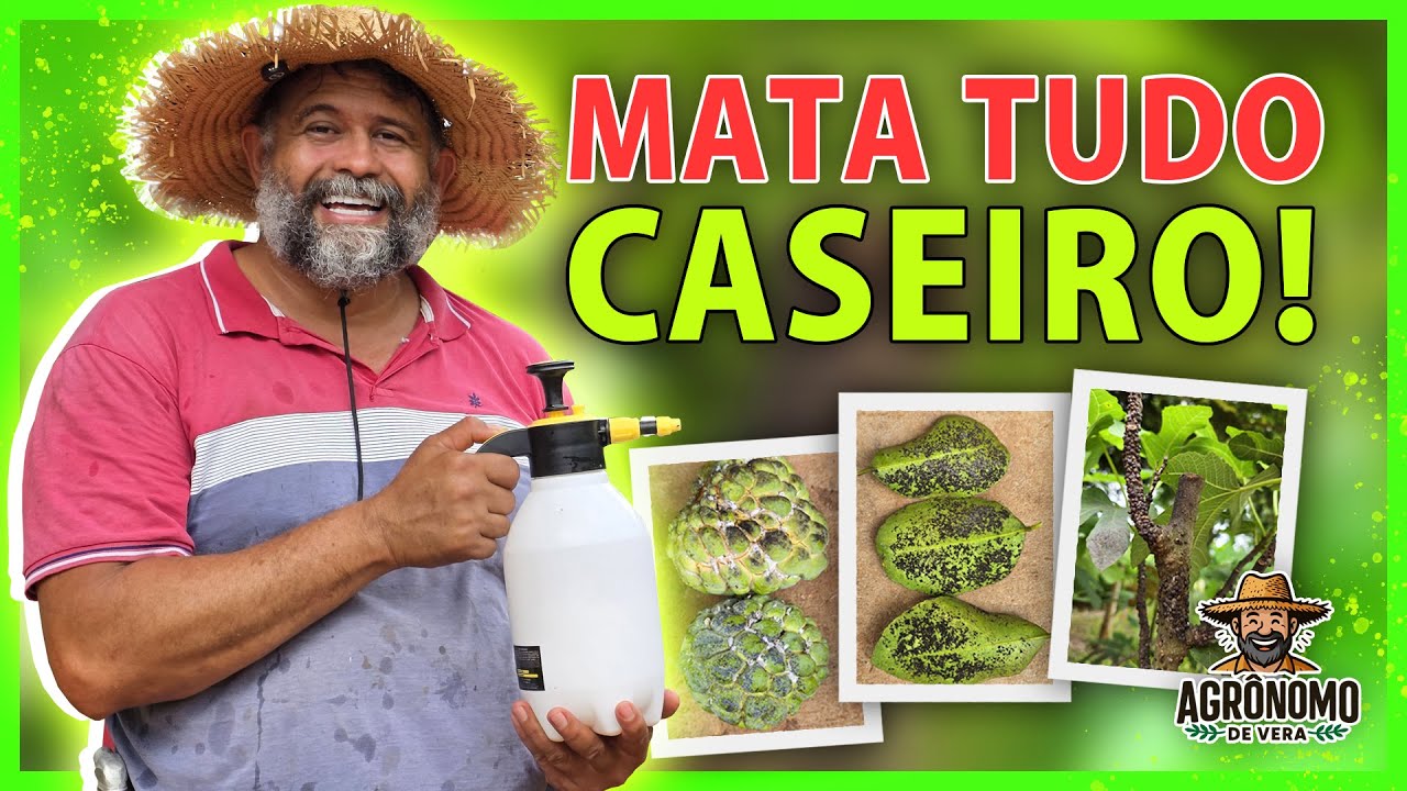 Mata PULGÃO, cochonilhas, LAGASTAS, ácaros, FORMIGAS, mosca branca, TUDO