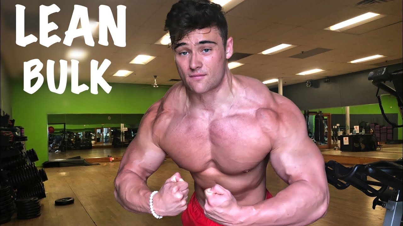 The Lean Bulk Has Begun!