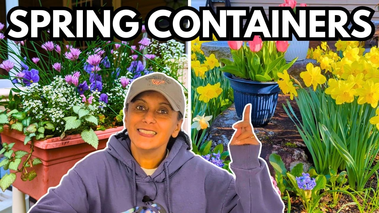 Перестаньте переплачивать за весенние контейнеры для растений! | Мои 5 любимых «бесплатных» рецеп...