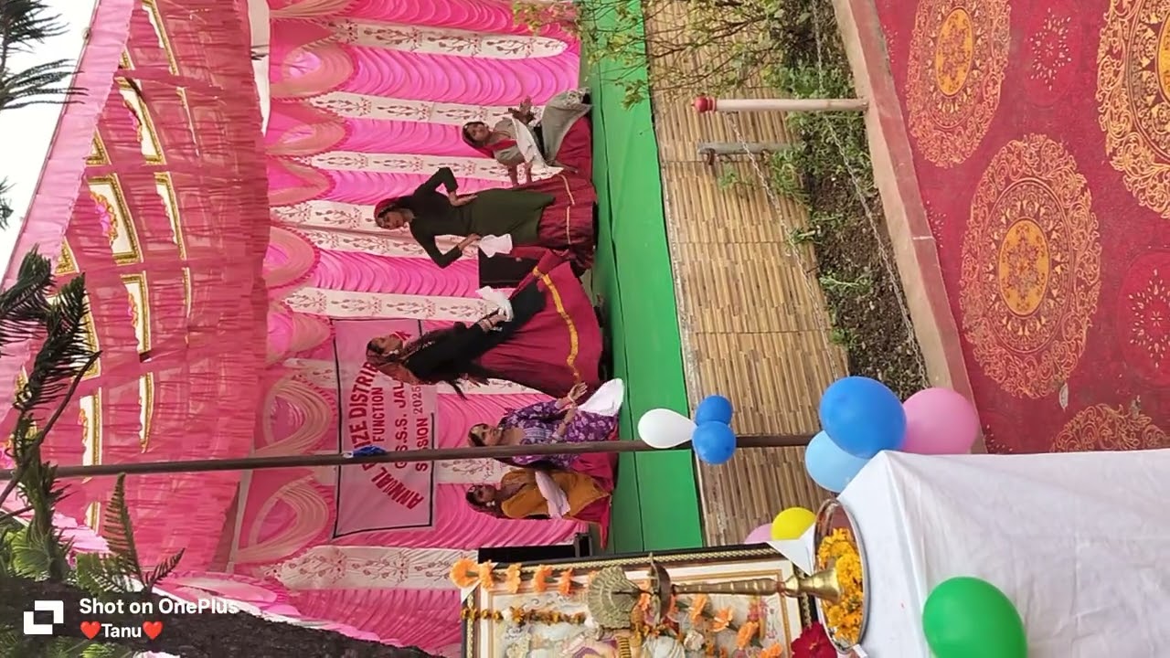 Annual function  himachali nati ❤️
