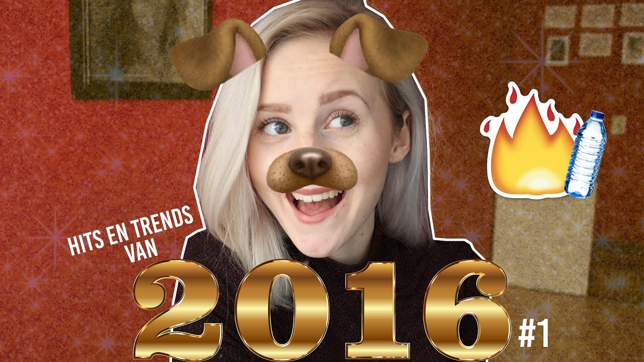 DIT WAREN DE HITS EN TRENDS VAN 2016 #1 | LENETTE HERMSEN