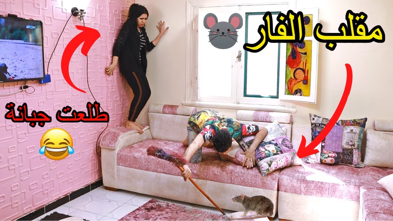 مقلب فار 🐀 فى الشقة | مش حتبطلوا ضحك من رد فعلها 🤣 - طلعت جبانة جدا ! 🤪