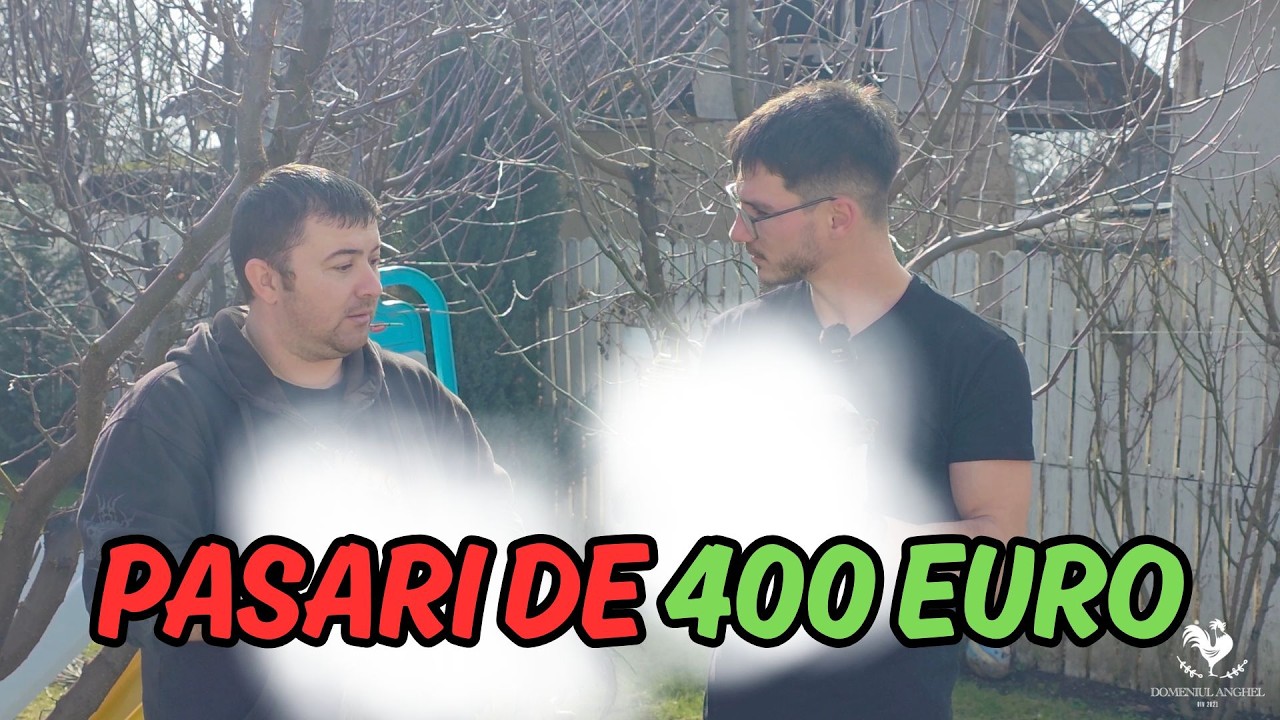 NU CREDEAM CA O SA MAI LUAM