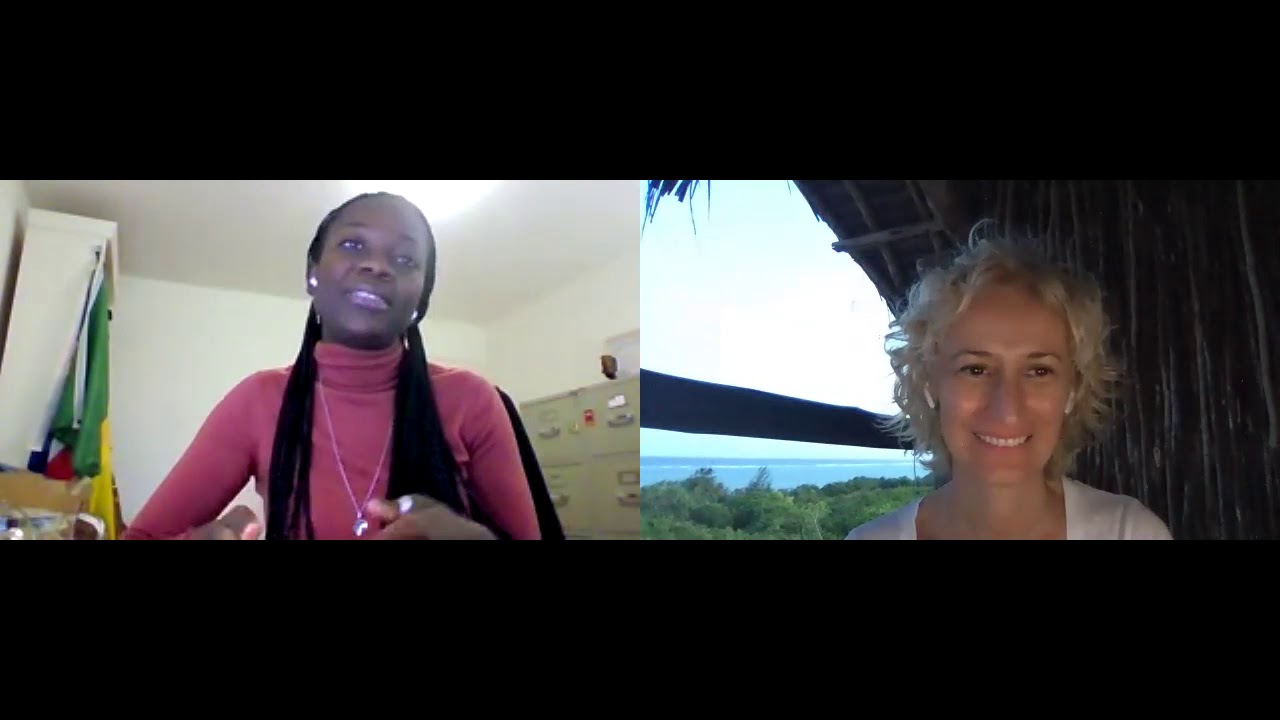 Women in VC Briefing - Fatou Diagne (Bootstrap Europe)
