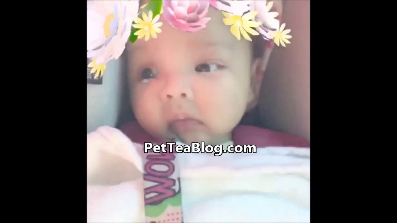 TI & Tiny Baby HEIRESS Diana HARRIS - Video Compilation