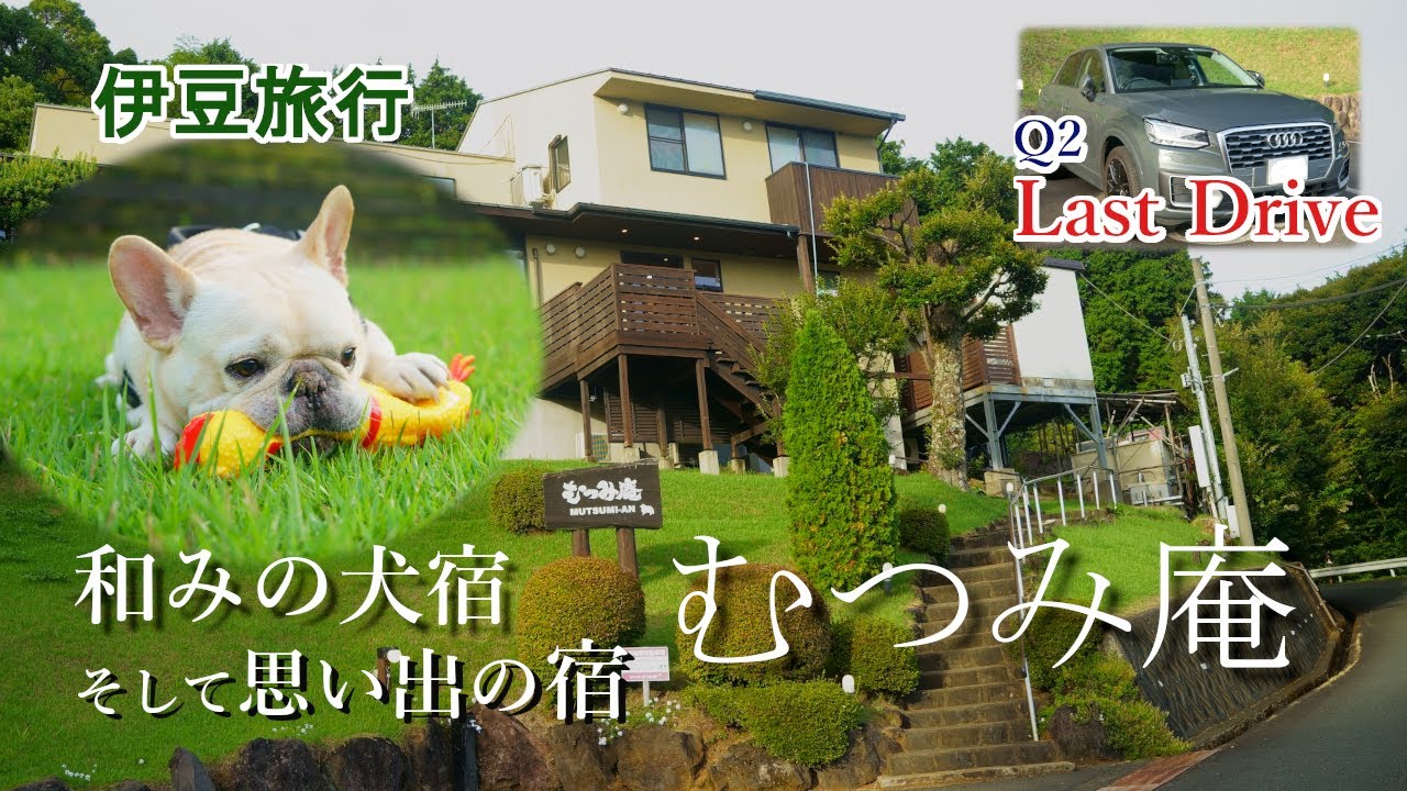 フレンチブルドッグBOBのおでかけ むつみ庵