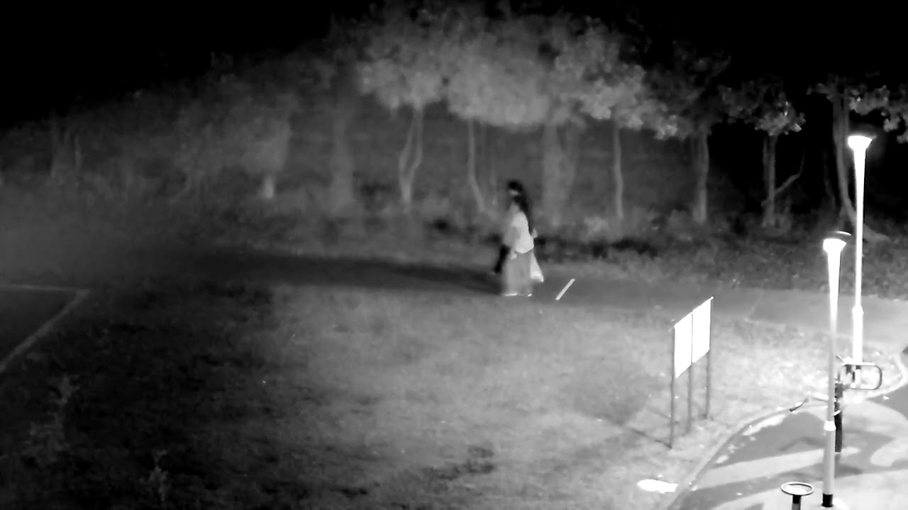 Yashica Vision night test