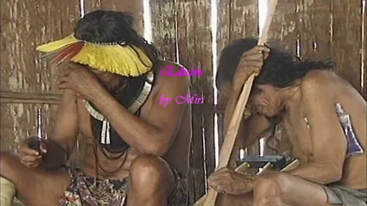The Kayapo tribe, need our help! La tribu Kayapo necesita su ayuda!
