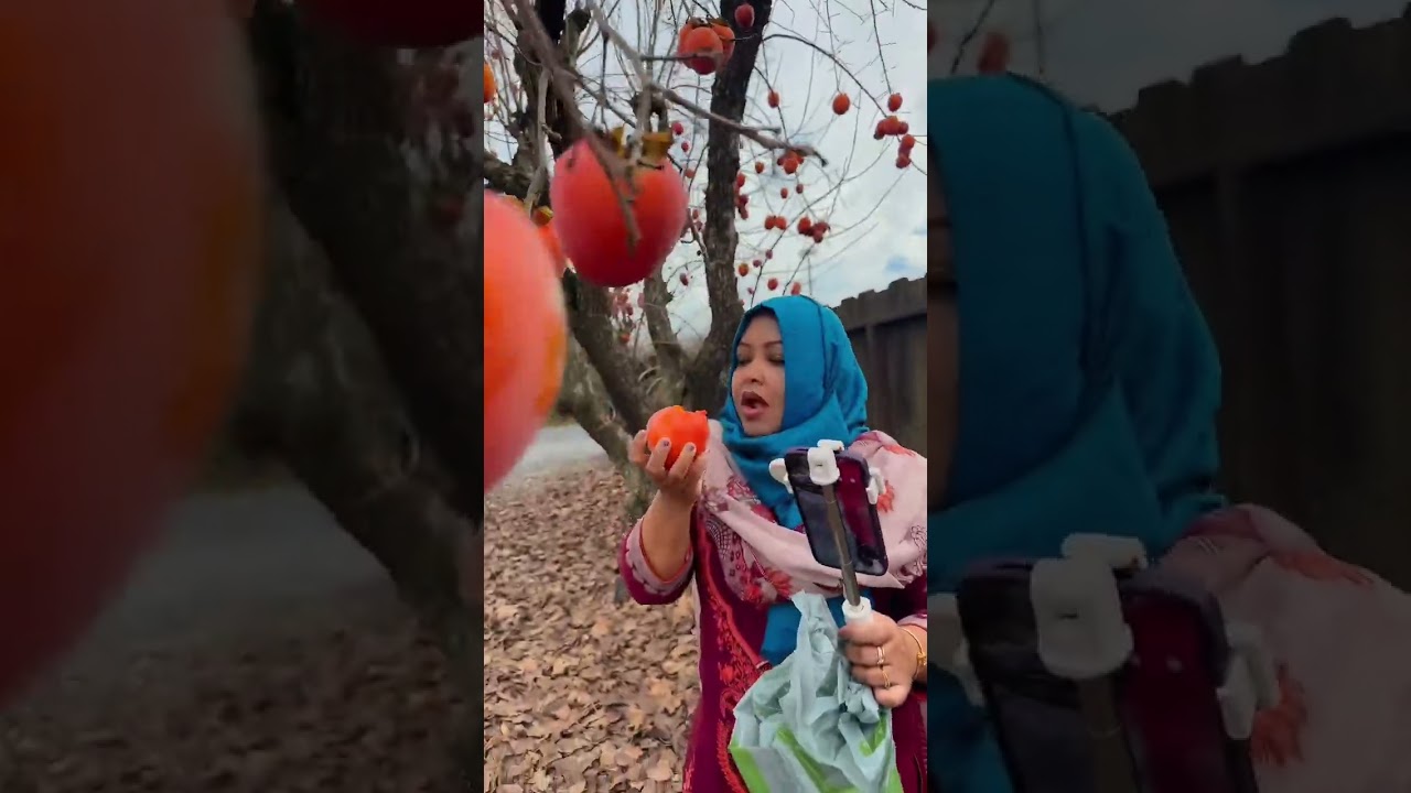 জেসমিন রুপা আপুকে নিয়ে আমেরিকার বিখ্যাত ফলের বাগানে গেলাম