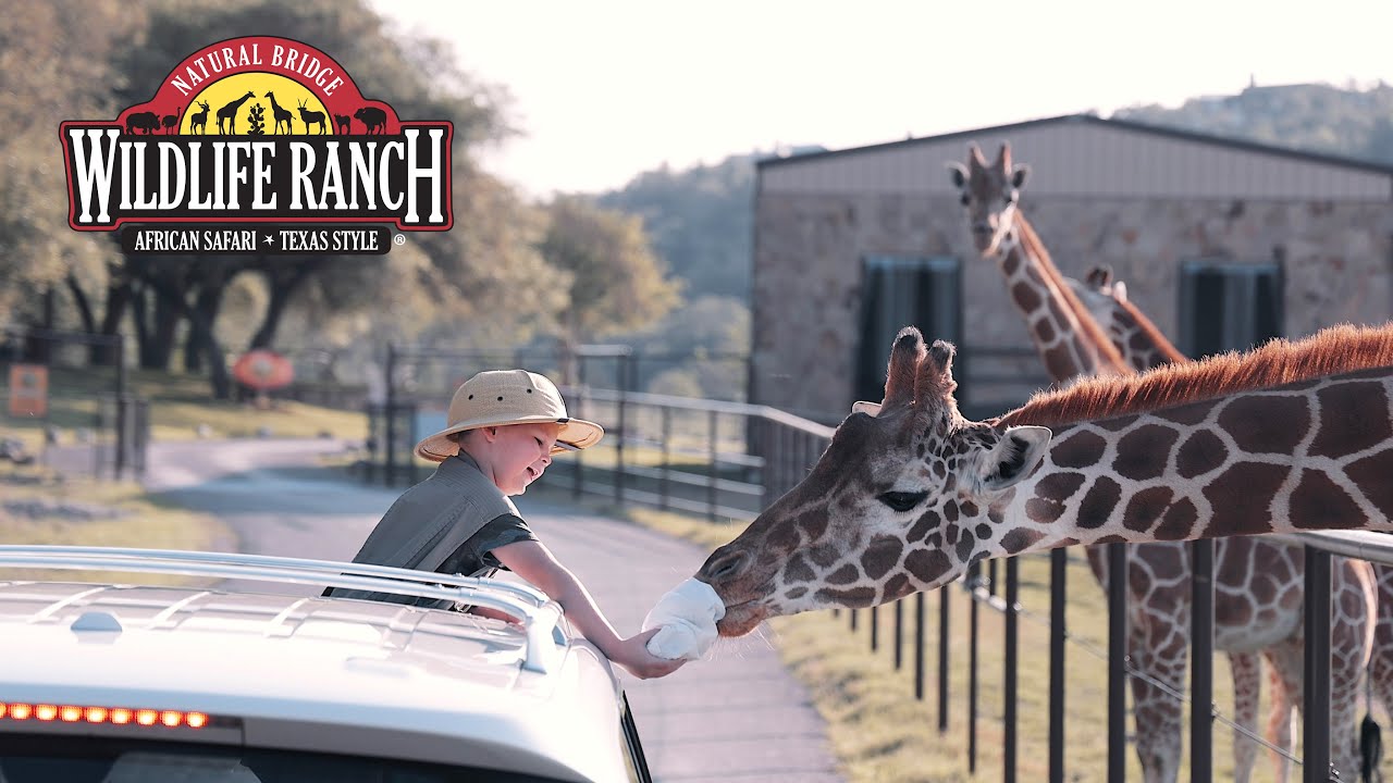 Natural Bridge Wildlife Ranch