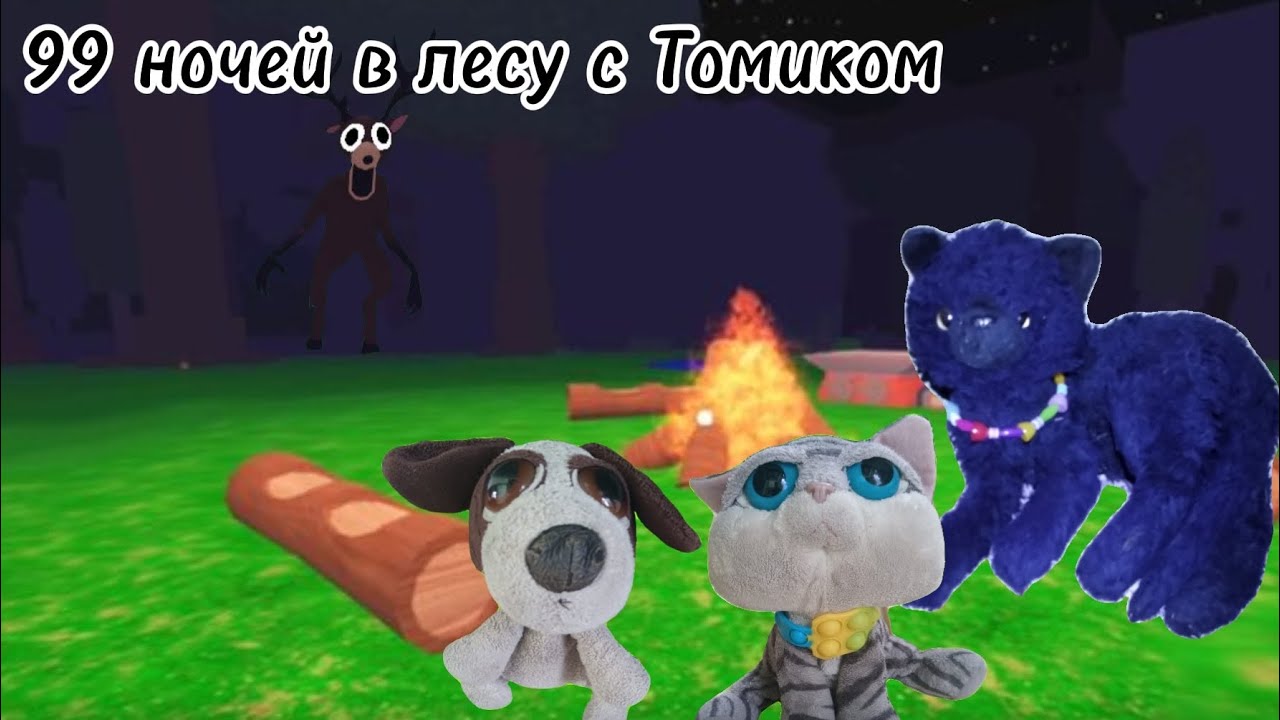 99 ночей в лесу с Томиком.