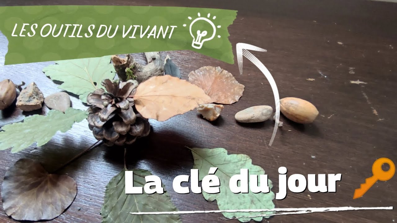 Un processus créatif, simple et intuitif au service de ton évolution
