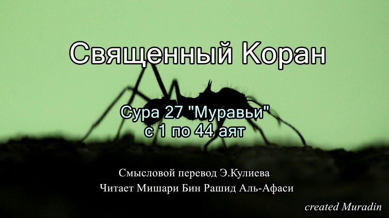 Сура 27.  