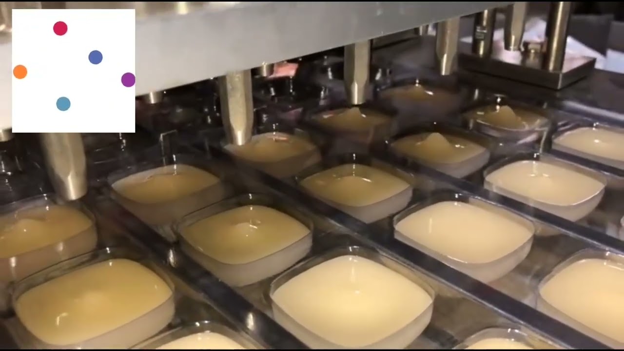 PLASTIC CUP (PP) FORMING FILLING & SEALING MACHINE ماكينة تشكيل وتعبئة وإغلاق الأكواب البلاستيكية