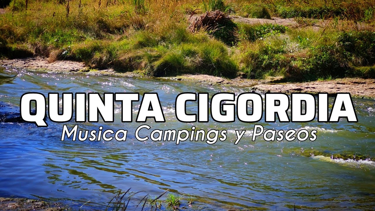 🎵QUINTA CIGORDIA - Musica Campings y paseos