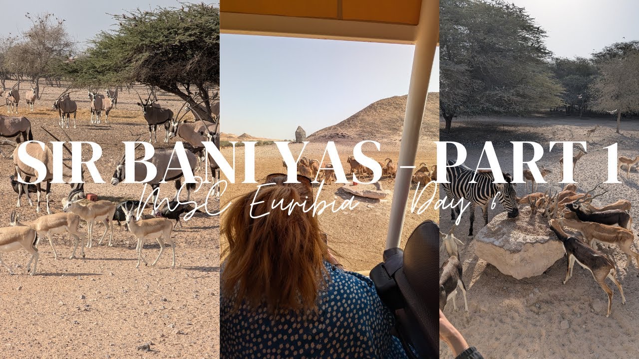 Amazing Sir Bani Yas Safari! (MSC Cruise Excursion) We saw a zebra and loads of Giraffes!! Ep: 79