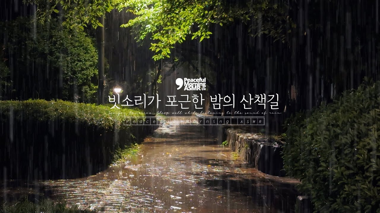 산책길 위로 포근한 빗소리 ASMR 🌧️
