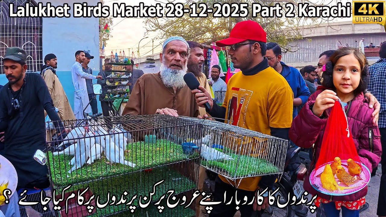 Lalukhet Birds Market 28-12-2025 Part 2 Karachi | A huge Quality of Birds at Sunday Birds Market