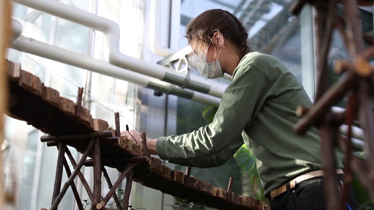 Handcrafted - Making of the Railway Garden