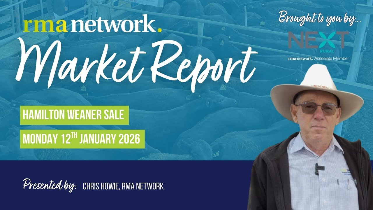 Hamilton Weaner Sale - Monday 12th January 2026.