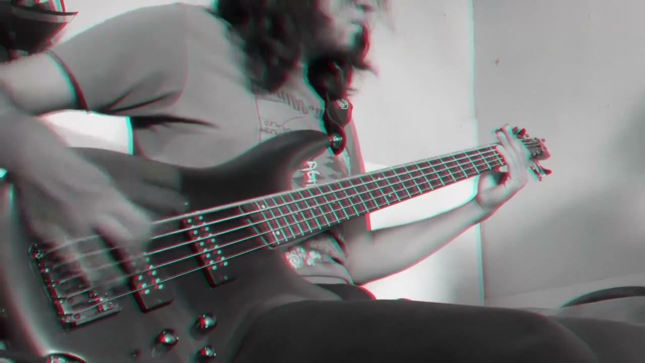 ⁠Ladrones (@ladronesmx) - Se van a topar (Bass Cover)